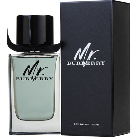 burberry mr burberry edt 150ml|burberry hero 1.6 oz.